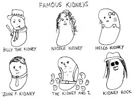 Make your own images with our meme generator or animated gif maker. Funny Famous Kidneys Lolzmelon Com Kidney Transplant Quotes Kidney Stones Funny Kidney Transplant