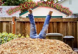 Best dining in hamilton, ontario: Wood Chip Mulch Myths Garden Myths