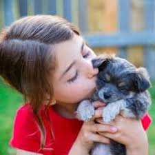 Please be sure to check our pueblo campus listing, too. Humane Society Of The Pikes Peak Region Hulafrog Colorado Springs Co