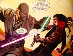 Mace Windu And Quinlan Vos Sparring Klop Starwars Comicbooks Star Wars Characters Grey Jedi Star Wars