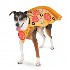 Rubies Pizza Slice Pet Costume Large 883028144747