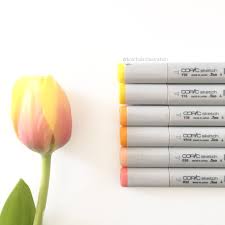 Copic Colors For A Dutch Tulip Y06 Y15 Y38 Yr15 E95 And R22 Flower C O Central Square Florist Www Centralsquareflo Copic Coloring Copic Coloring Markers