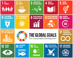 Free diving world champion umberto pelizzari, raised a flag to represent goal 14, life below water, off the coast of formentera. Sustainable Development Goals Icons At Download Scientific Diagram