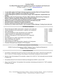 sap logistics execution consultant cv