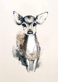 My Deer By Joanneyoung On Deviantart Art Sketches Animal Art