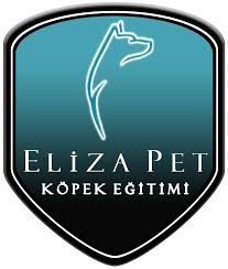 Yavru Kopeklere Tuvalet Egitimi Nasil Verilir Kopek Egitimi Bodrum Yerinde Kopek Egitimi