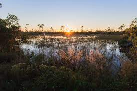 Best Areas To Stay In Fort Pierce Florida