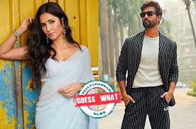 Guess What! Katrina Kaif and Vicky Kaushal to have a COURT MARRIAGE before  the actual wedding?