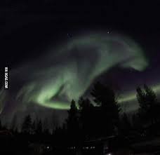 Northern Lights In Sweden Looks Like A Wolf Northern Lights Magical Sky Like Image