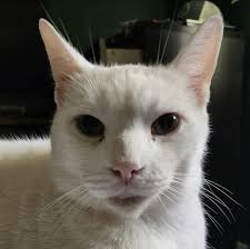 Couple days ago Old Guysbrough Rd. Yeah.