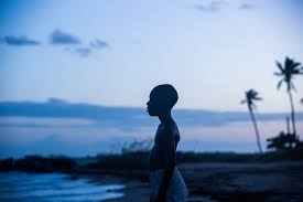 Resultado de imagem para moonlight