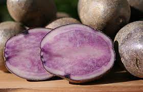 Russian Blue Potatoes Cooksinfo