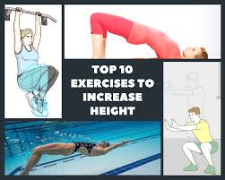 Well, there is a part of bone, called growth plate, which plays an important role in our limb growth. Top 10 Exercises To Increase Height Baggout