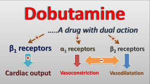 Image result for Dobutamine