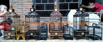 Variasi dengan pagar besi, pagar beton batu bata, pagar cor. Sangkar Pleci Sangkar Sangkar Pleci Ukir Jepara Murah Facebook