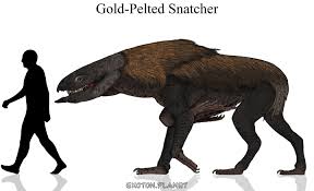 Image result for Exotheca