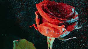 Martin garrix, david guetta, jamie scott, romy dya. Martin Garrix David Guetta So Far Away Feat Jamie Scott Romy Dya Blr Remix Youtube