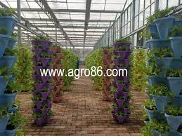 Lettuce Agriculture Hydroponic Hydroponics Grow Growing Planting Greenhouse Wish Technology Co Ltd Hydroponics Hydroponic Farming Hydroponic Growing