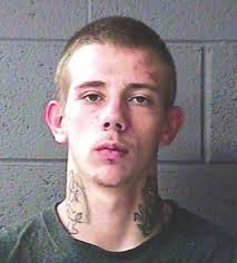 Early voting going great guns