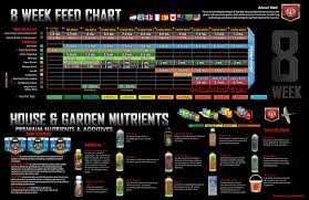 feeding schedules