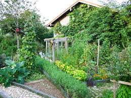 Durch einen tipp einer bekannten sind wir auf den garten von familie wühr gestoßen. Kreativgarten Von Wolfram Franke Ein Paradies Um Wenig Geld Biogartner