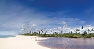 Escalação do bahia | bahia tem vantagem para seguir na copa do brasil. Bahia Beach Resort Tivoli Hotels Resorts In Bahia Brazil