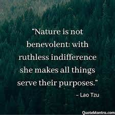 Pin On Nature Quotes
