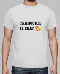 Tee Shirt Tranquille Le Chat Cool Humour T Shirt Humour T Shirt Drole