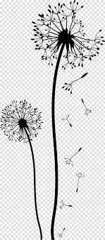 Background Black And White Png Images Dandelion Drawing Black And White Flower Wall Transparent Background Png Clipart Dandelion Drawing Black And White Roses Flower Illustration