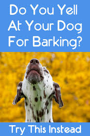 Fastest Way To Stop Your Dog From Barking Dogs Your Dog Dog Photos
