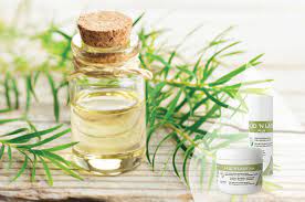 Eye Hygiene How Tea Tree Oil Can Enhance Your Ocular Hygiene Routine