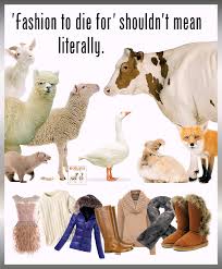 Evolve Uggs Canada Goose Leather Fur In 2020 Animal Advocacy Animals Vegan Animals