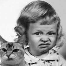 Danny Thorn (@fsc_nz)