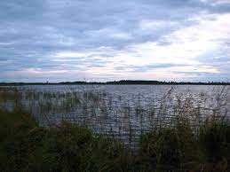 File:Озеро Вялье ( Lake Vyalie).JPG - Wikimedia Commons