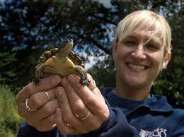 Dustin Klinger's Instagram, Twitter & Facebook