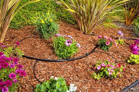 Buy dig dc irrigation controllers at drip depot. Garden Drip Irrigation Design