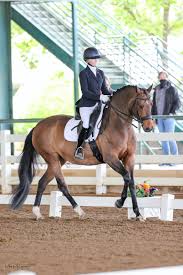 Having successfully competed from international junior & young rider level up to grand prix and worked as a professional rider since now almost 15 years, our main focus when building our own stable was to create a place that would provide the best facilities for me to train/school client's horses from young horse to grand prix. Fuqua Ranked 1 Junior Dressage Rider Jumps To Success In First Half Of 2021 The Plaid Horse Magazine
