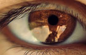 Gate To The Soul Explored Here S That Macro Of My Own Eye I Took A Few Days Ago Lots O Weird Reflections Goin Eye Photography Brown Aesthetic Brown Eyes