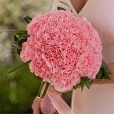 In keeping with the traditionally white bouquet let's consider a bouquet made up almost exclusively of white carnations! Vibrant Pink Carnation Bridal Bouquet Globalrose