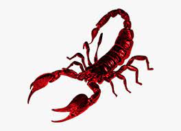 Scorpion Png Free Download Red Scorpion Png Transparent Png Is Free Transparent Png Image To Explore More Similar Hd I In 2021 Png Images Free Download Transparent