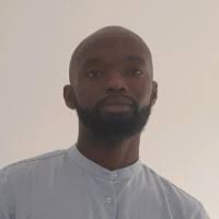 30+ "Olayinka Ola" profiles