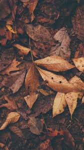 Maybe you would like to learn more about one of these? Sfondi Autunnali Per Cellulari