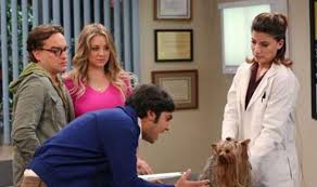 When stevie goes to the hospital, malcolm tries making up every excuse he can think of to not go because he can't face the truth about his illness. Big Bang Theory Cast Who Guest Starred In The Locomotive Manipulation Tv Radio Showbiz Tv Express Co Uk