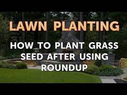 Maybe you would like to learn more about one of these? How To Plant Grass Seed After Using Roundup Youtube