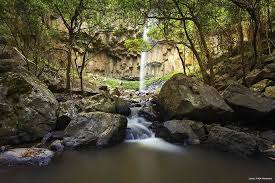 Brown Falls Your Ultimate Guide To Waterfalls And Swimming Holes Near Brisbane Swimming Holes National Park Photos Natural Bridge Springbrook