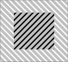 Image result for illusion pictures