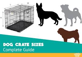 Choosing The Right Dog Crate Size The Definitive Guide