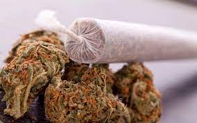 We did not find results for: How To Smoke Weed Inside Your House Or Hotel Without Getting Caught Potent