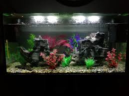 My New 150l Sunken Pirate Ship Aquarium Fish Tank Themes Fish Tank Aquarium Fish Tank