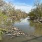 Trailblazers: Des Plaines River Relics Walk
